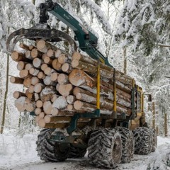 Käferholzferien (11.01.2021)