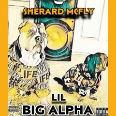 Lil Big Alpha