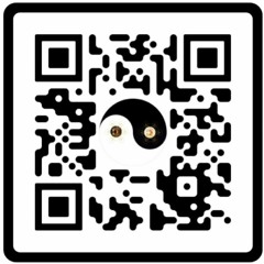 Berlin Wedding Song  Ti Amo Lacasa De Papel _ Money Heist.m4a