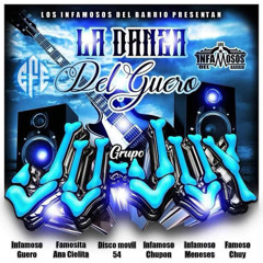La Danza del Guero (Cumbia en las Nubes)2024 Grupo JuJuy Audio Limpio
