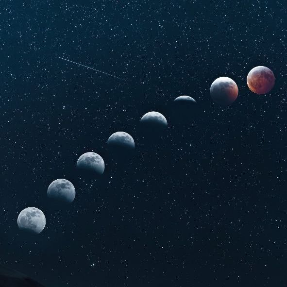 قمر غفى – محمد غندور