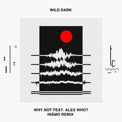 Wild Dark - Why Not feat. Alex Who? (Inámo Remix)