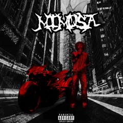 mimosa (prod nfeparis x nategotsmoke)