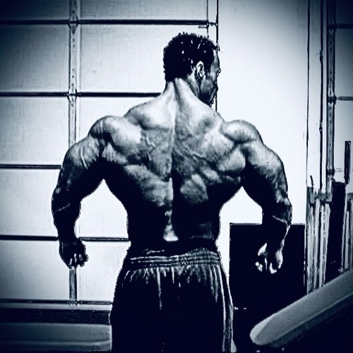 Kevin Levrone X Prayer in C