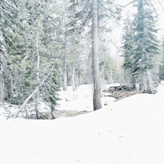 high life (prod. ash ambrose)