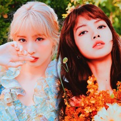 More & More X Whistle