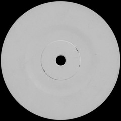 Can't Stand The Bass