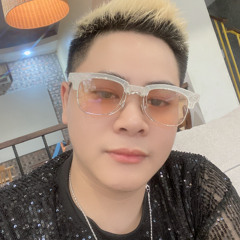 VIETMIX ANH ĐÃ KHÔNG BIẾT CÁCH YÊU EM - LINH MIO MIX