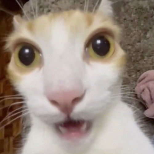 WEEK 70 - 20241201 it don't make sense