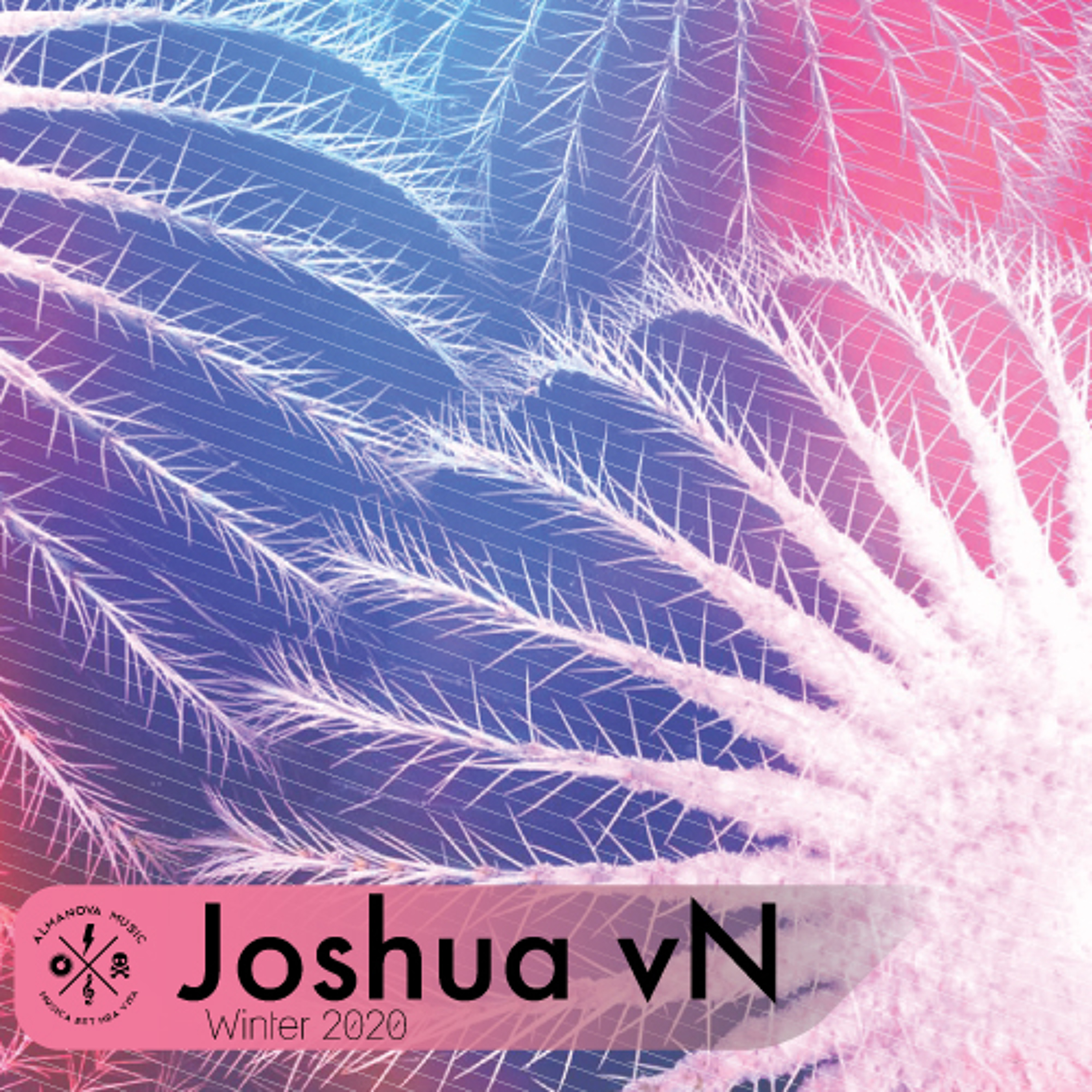 Joshua_vN