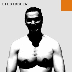 LILDIDDLER - Accordion