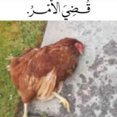 عربي