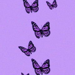 Purple Butterflies