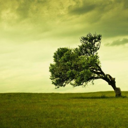 mark and tom - alone so long