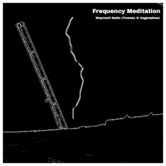 Frequency Meditation