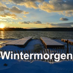 Wintermorgen