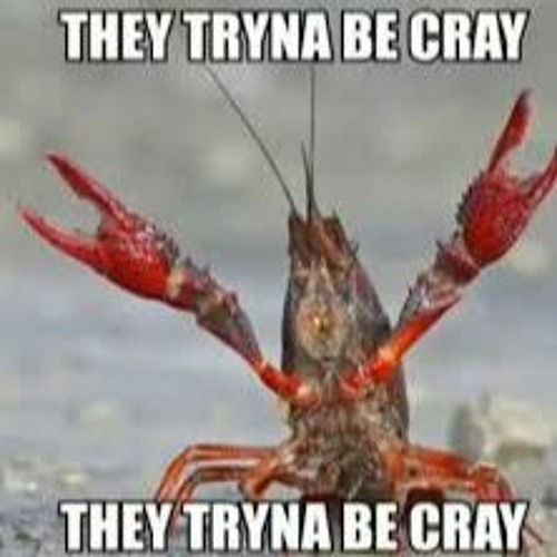 they trynna be cray