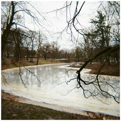 #07 | The Earrings of Saturn