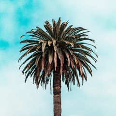 OUTSET (Barack Obama) - GOUG