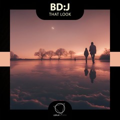 bd:j - That Look (Lizplay Records)