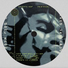 Armand Van Helden - You don't Know me (Samuel Maurice, Overhoff, Mink Edit)
