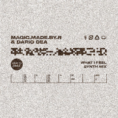 FREE DL: magic.made.by.r & Dario Dea - What I Feel (Synth Mix)