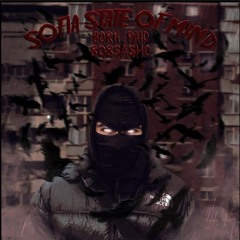 BORN PAID - VSE OSHTE