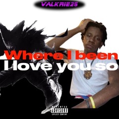 Valkrie25-where i been/i love you so