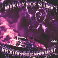 Reckless Endangerment (with MVKO)