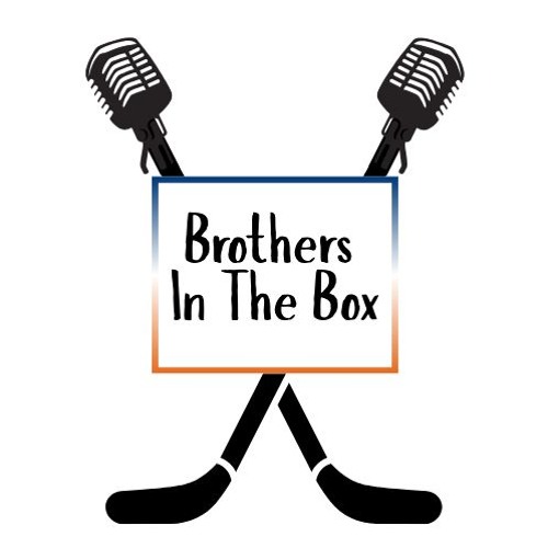 Brothers In the Box Episode 1: Pilot