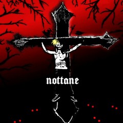 NOTTANE (PROD. ANTICON)