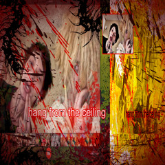 HANG FROM THE CEILING