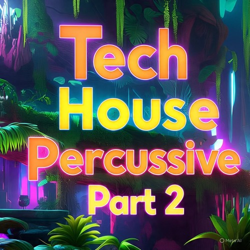 Segunda parte set Tech House Percusivo