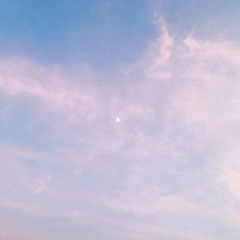 Dreaming Japan