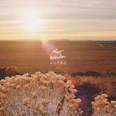 Lover - Matt Walden