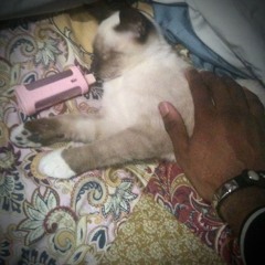 roach (prod. schimo) [og]