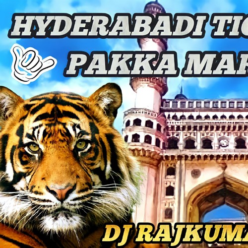 Hyderabadi Tiger Trance Marfa Remix By Dj Rajkumar Sonu.mp3