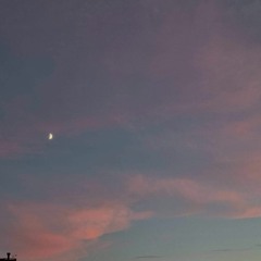 Justinas Jarutis & Jessica Shy - tu palauk