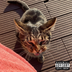 Prod tom
