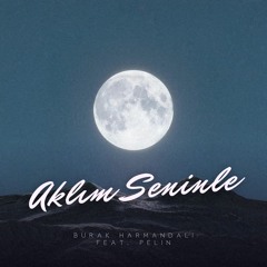 Burak Harmandalı-Aklım Seninle (feat. Pelin)