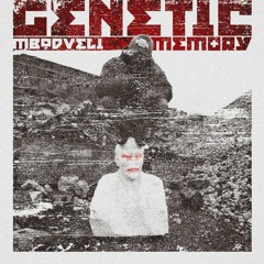 05. Old Embryo (Downwell Remix)