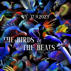 Anda The Birds //°\\ The Birds & The Beats Festival 23