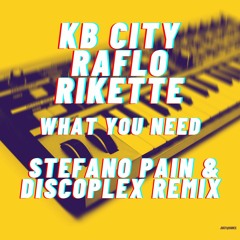 KB City, Raflo, Rikette-What You Need(Stefano Pain & Discoplex Remix) [Radio Edit]