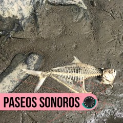 Paseos Sonoros Cap. 4 - Uruguay - Ritmos afroelectrónicos y zonas de colisión