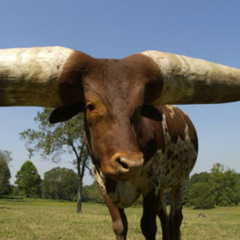 eskizofrenia.mp3(MINI DEMO)