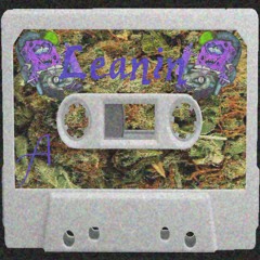Leanin Side: A