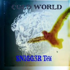 SNIGG3R Tëä  COLD WORLD .mp3