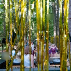 Echos aus dem Zauberwald