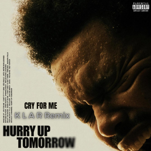The Weeknd - Cry For Me ( k l a r Remix)