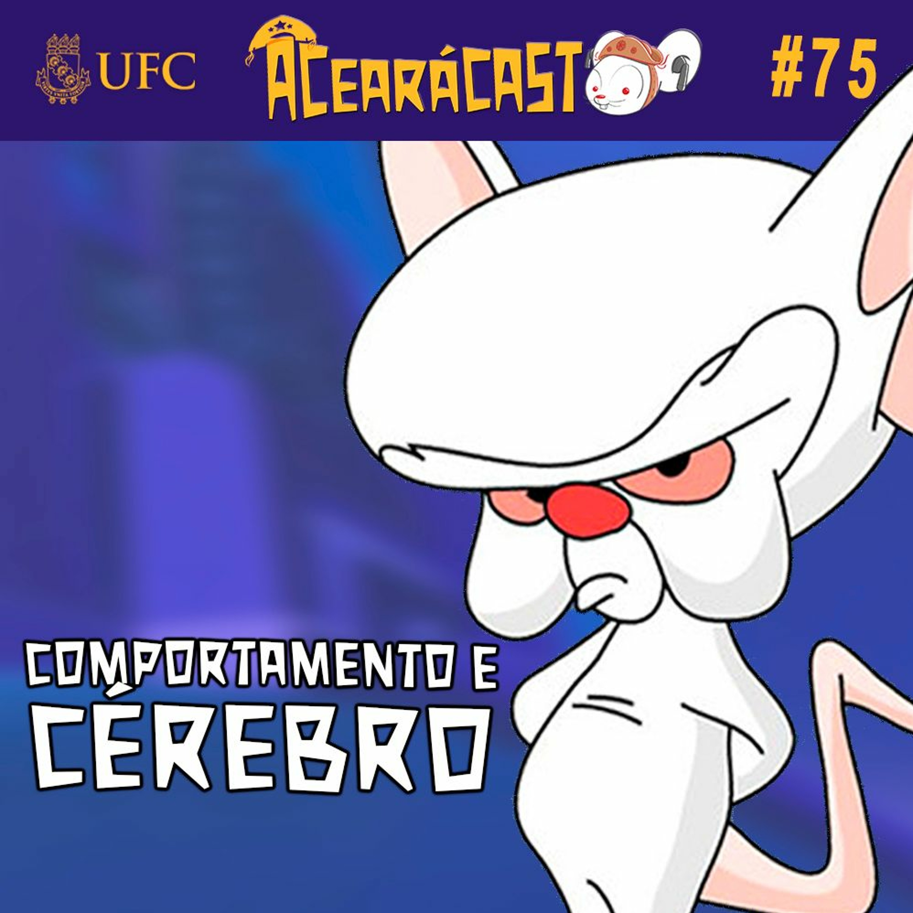 ACearáCAST análise do comportamento e humor cearense